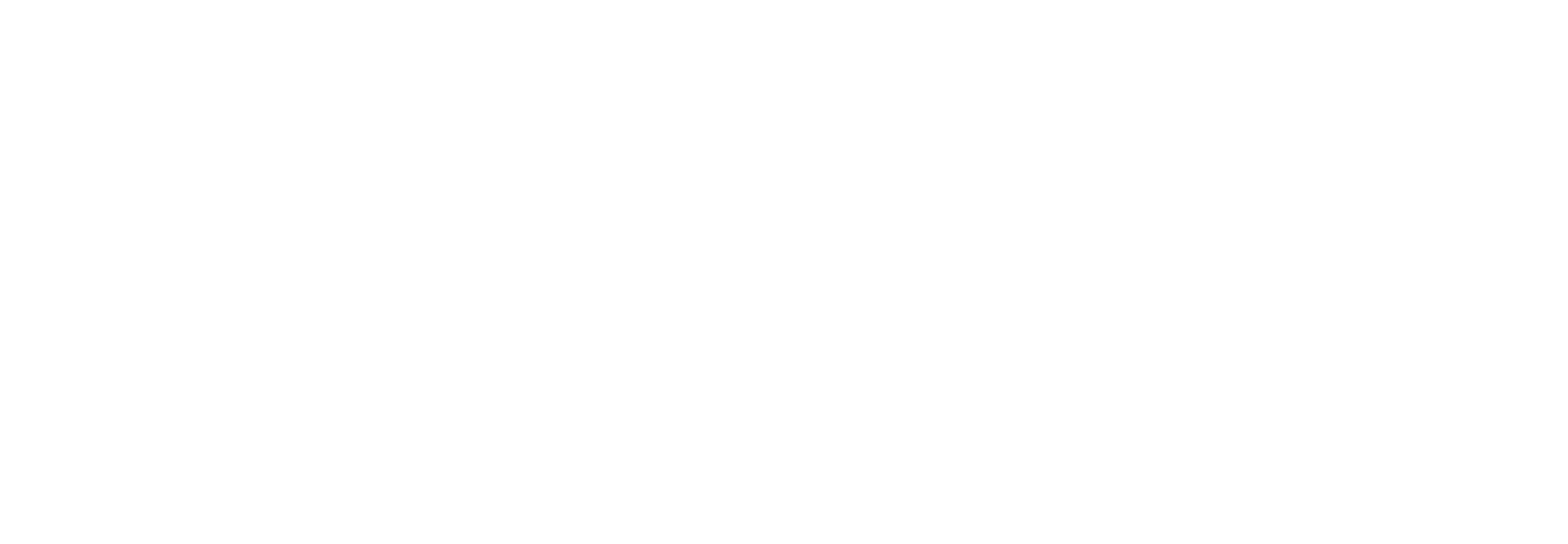 Self-Evident Logo